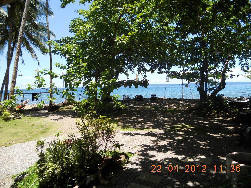 Algen'S Dive Resort Mahinog Exterior photo